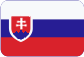 Záchrana dát Slovensky